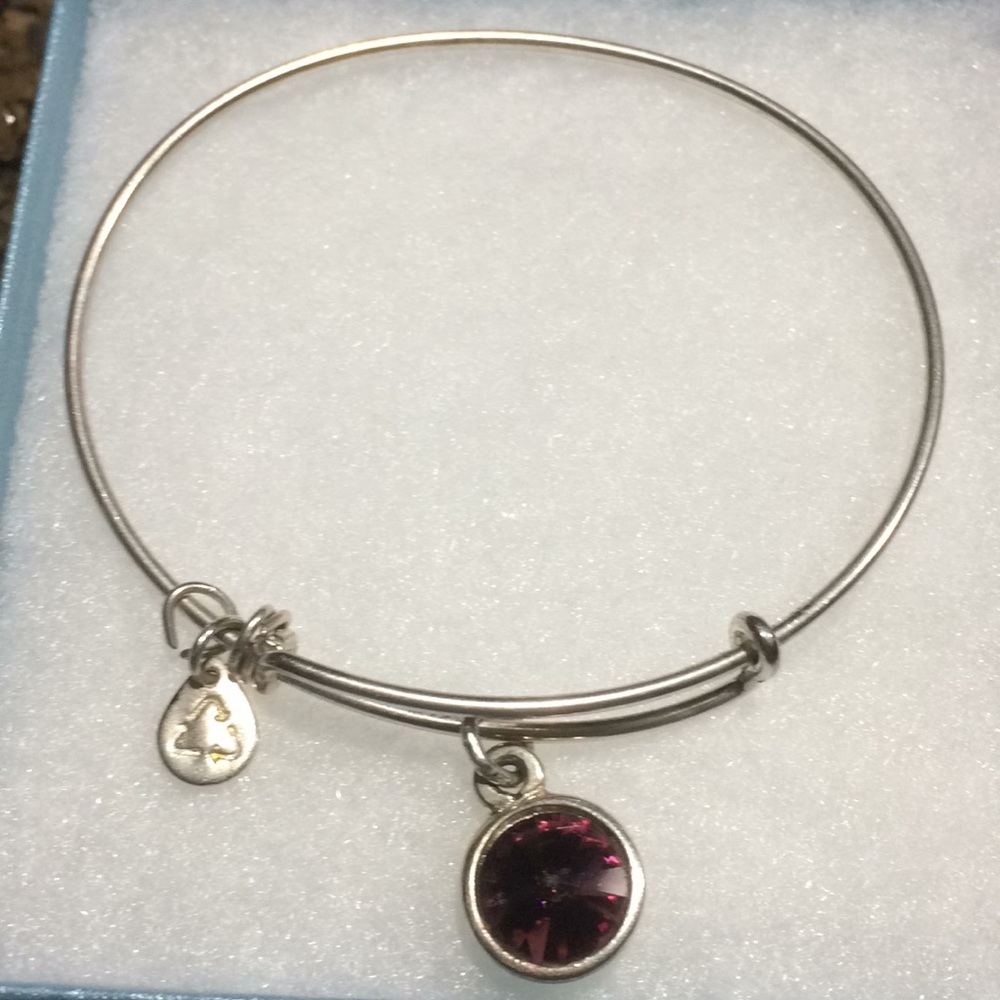 Alex and ani purple crystal charm bracelet